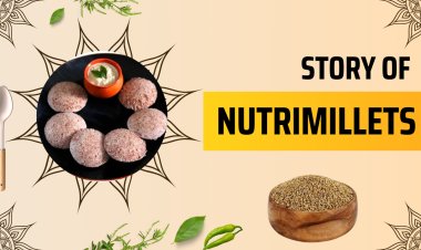 Nutrimillets - Millet Based Healthy Snacks and Meals offers Guilt Free Products