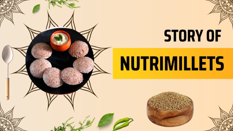 Nutrimillets - Millet Based Healthy Snacks and Meals offers Guilt Free Products