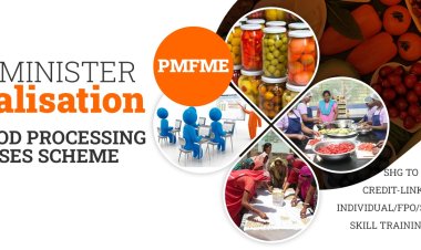 Overview Of PMFME Scheme - Full Form, Eligibility and Benefits