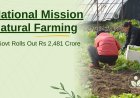 One Crore Farmers to Benefit: Govt Rolls Out Rs 2,481 Crore Natural Farming Drive