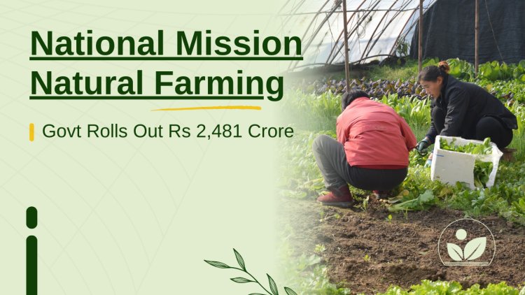 One Crore Farmers to Benefit: Govt Rolls Out Rs 2,481 Crore Natural Farming Drive