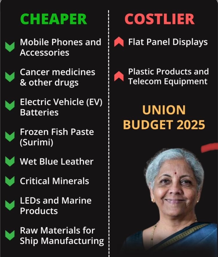 Indian 2025-26 Budget Allocation